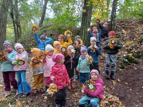 Projektový den - Les a co se v lese ukrývá